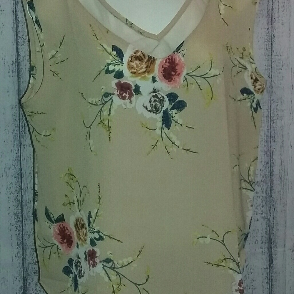 Chiffon Beige V-neck Blouse Large Woman's Tops